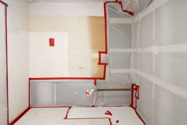 Best Residential Mold Inspection & Testing  in Buies Creek, NC