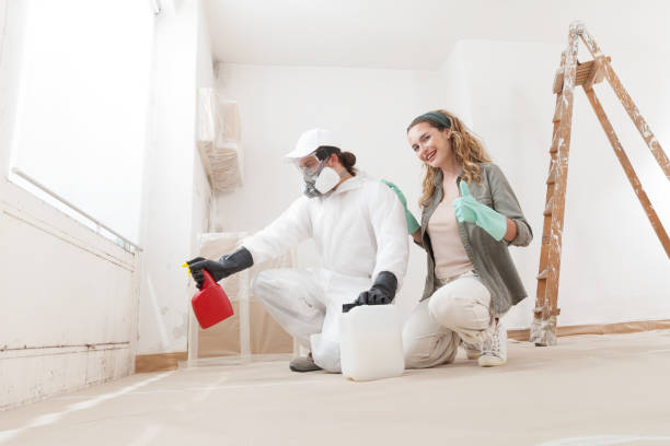 Buies Creek, NC Mold Removal Company